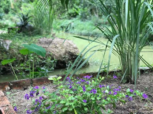 Ben Tre Garden Farmstay