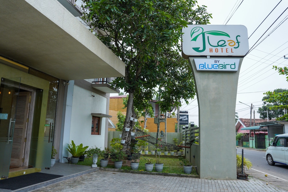 J leaf Hotel by Blue Bird