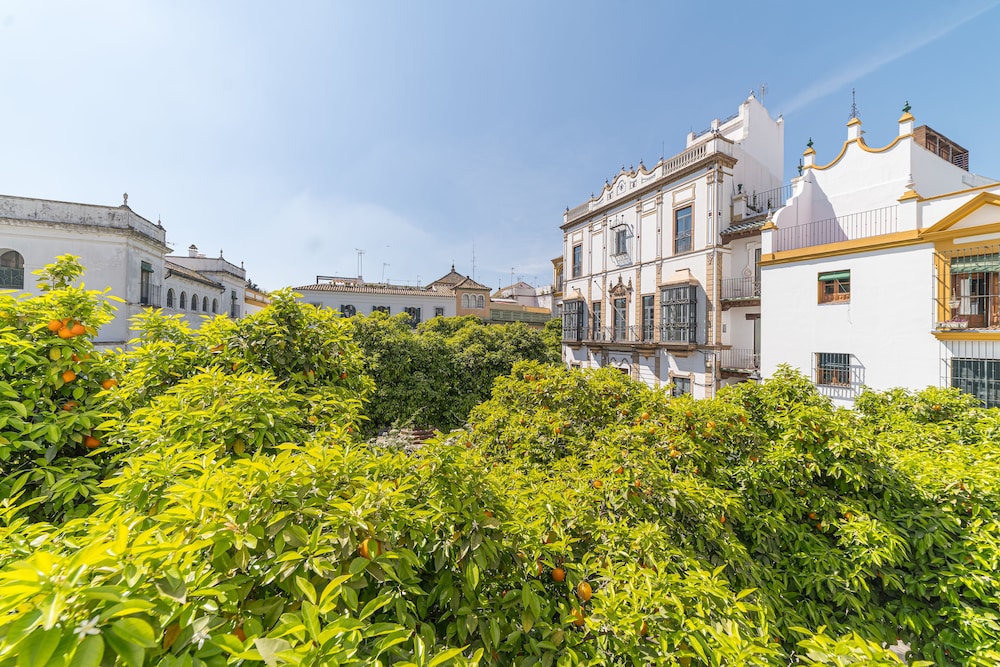 Rey Don Pedro Luxury Home
