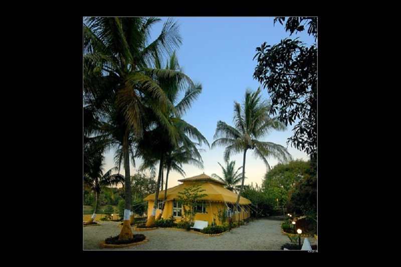 Gir Lion Safari Camp Sasan Gir