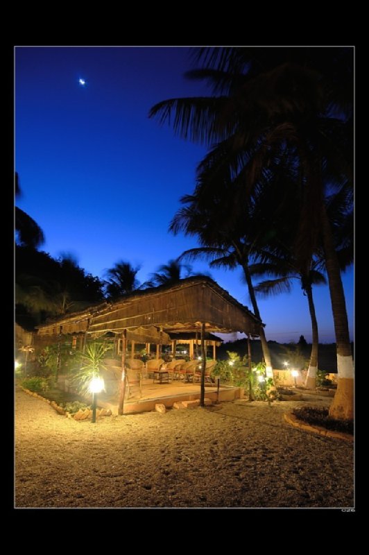 Gir Lion Safari Camp Sasan Gir