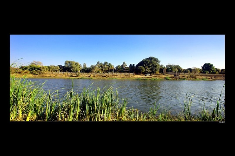 Gir Lion Safari Camp Sasan Gir
