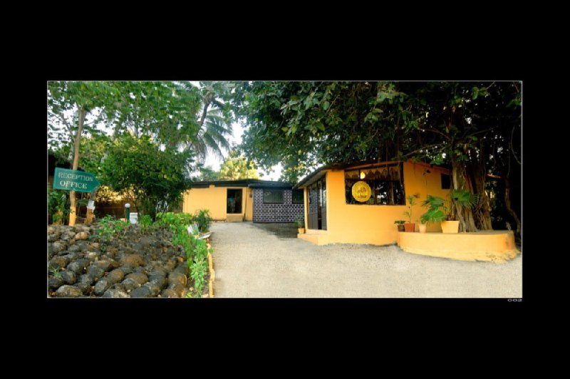 Gir Lion Safari Camp Sasan Gir