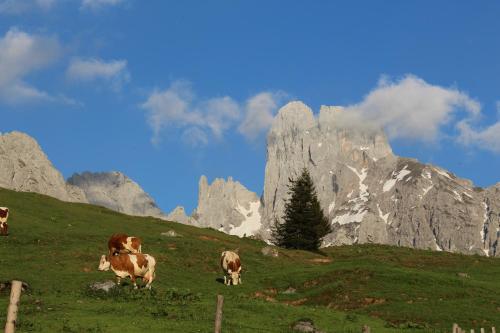 Salzburger Dolomitenhof
