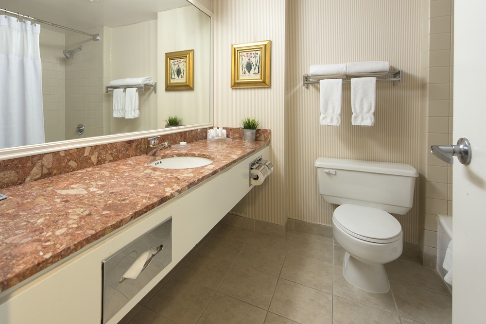 Toronto Don Valley Hotel and Suites