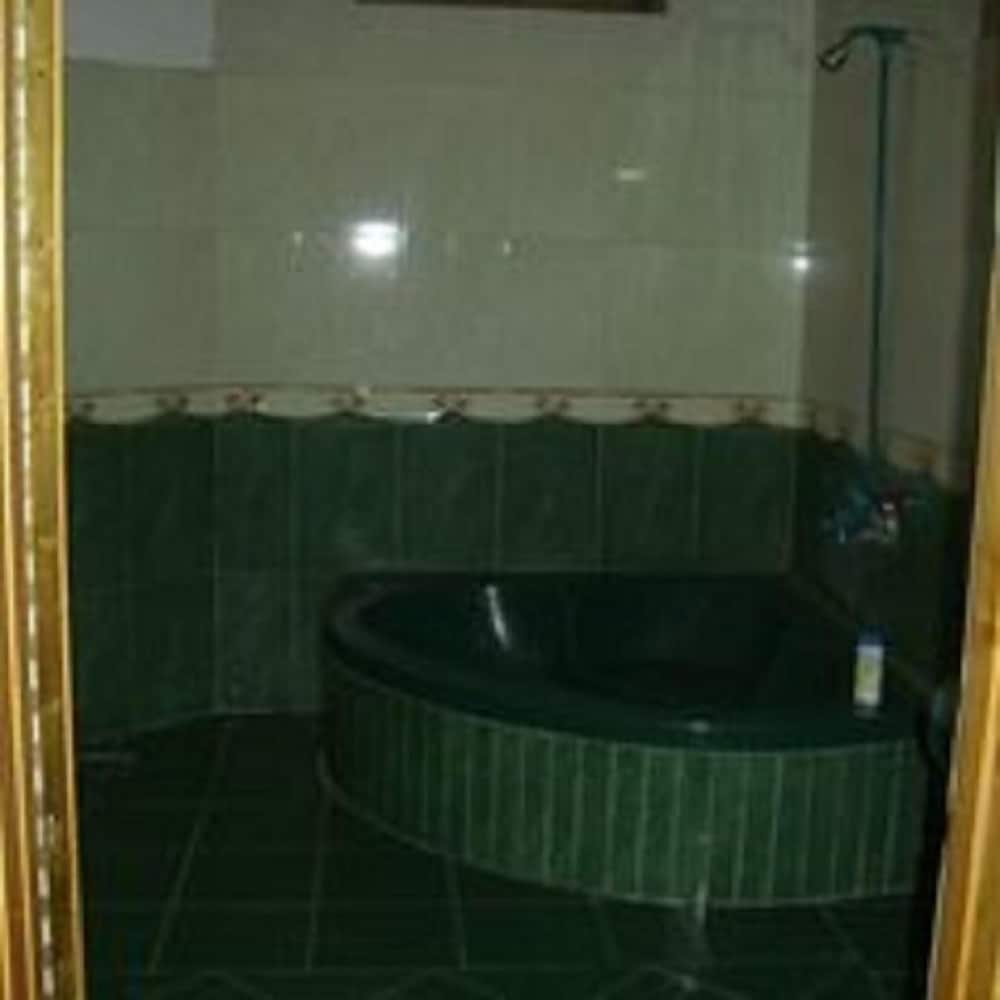 Hotel Luxury Palace Naran