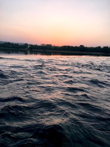 Panna Tiger Resort