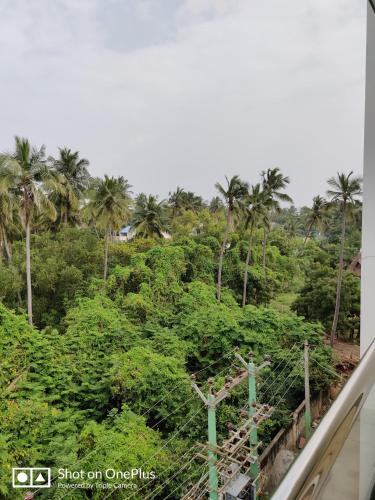 White Pearl Residency
