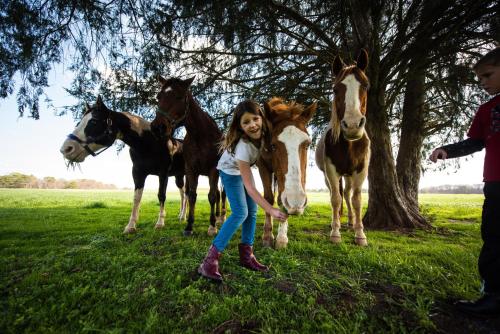 Southern Cross Guest Ranch