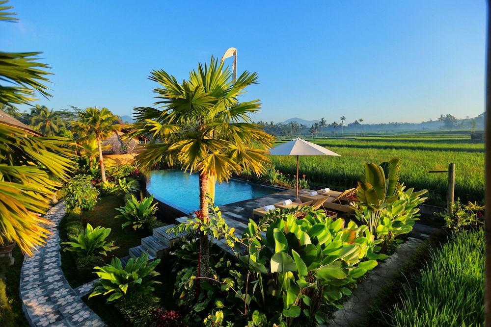 Padi Bali Eco Villas
