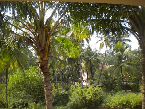 Guesthouse Sakina Colva