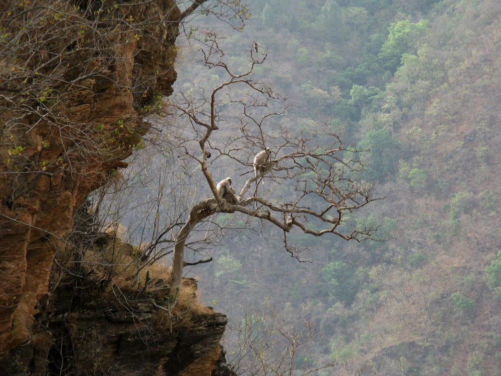 Auranya - The Mystical Himalayan Retreat