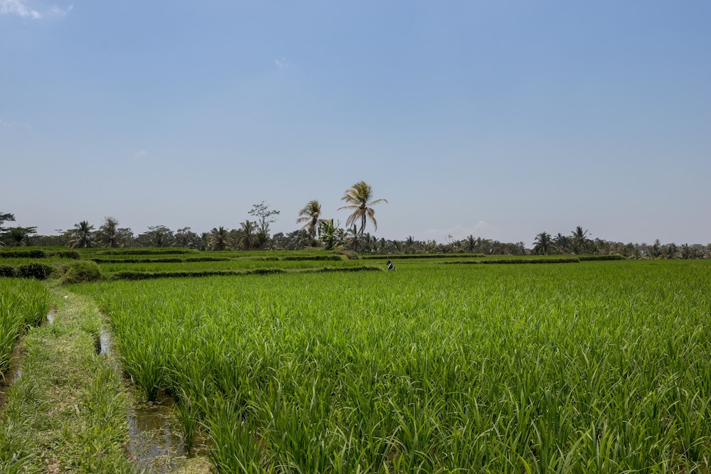Onje Resort and Villas