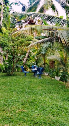 Field Island Villa Ahangama