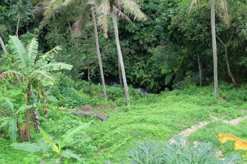 Tirta Asri Ubud Villa