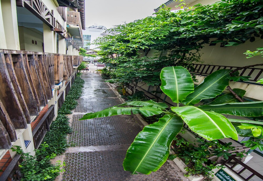 Sutus Court 2