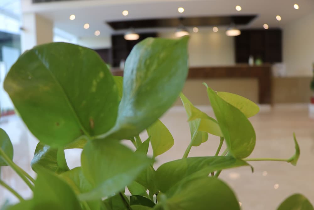 Gadiraju Palace Convention Centre & Hotel