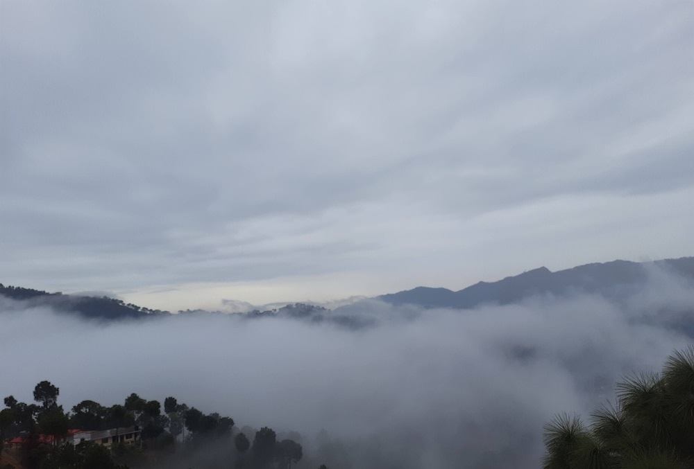  Hotel Le Halcyon Kasauli