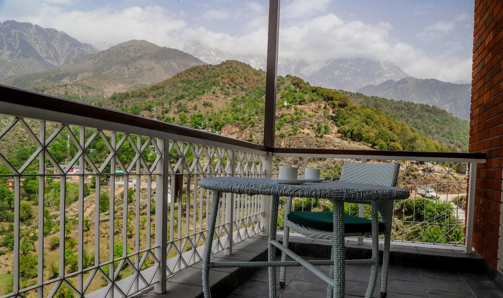 juSTa Birding Dharamshala