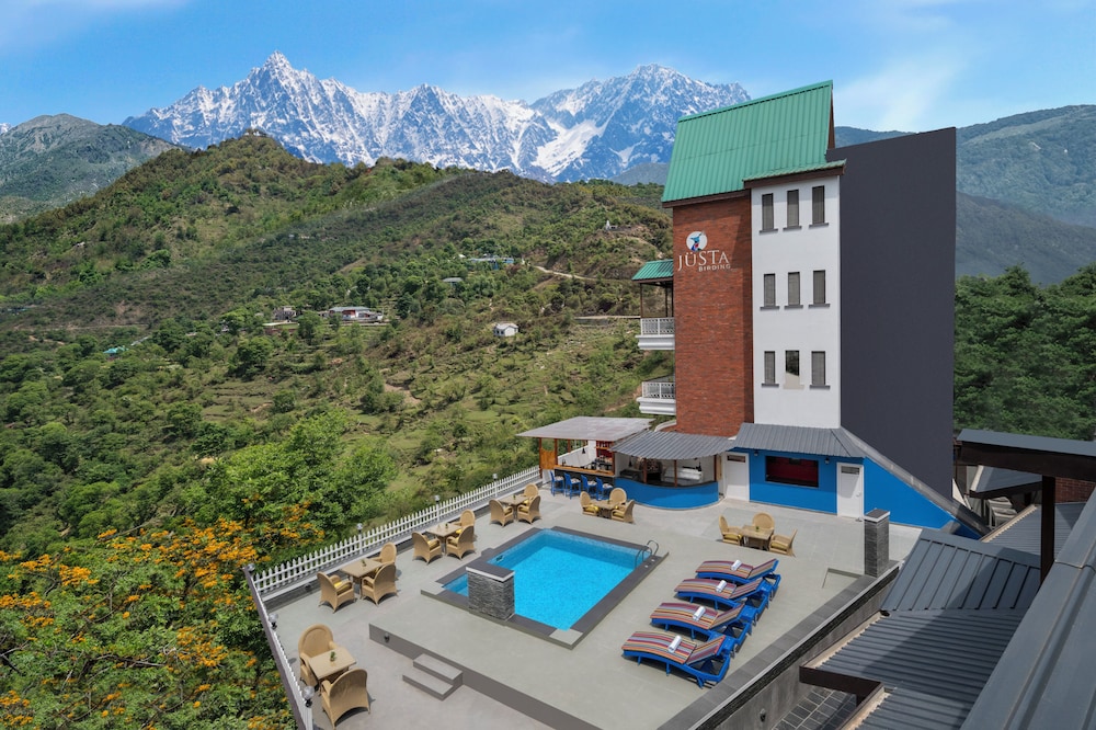 juSTa Birding Dharamshala