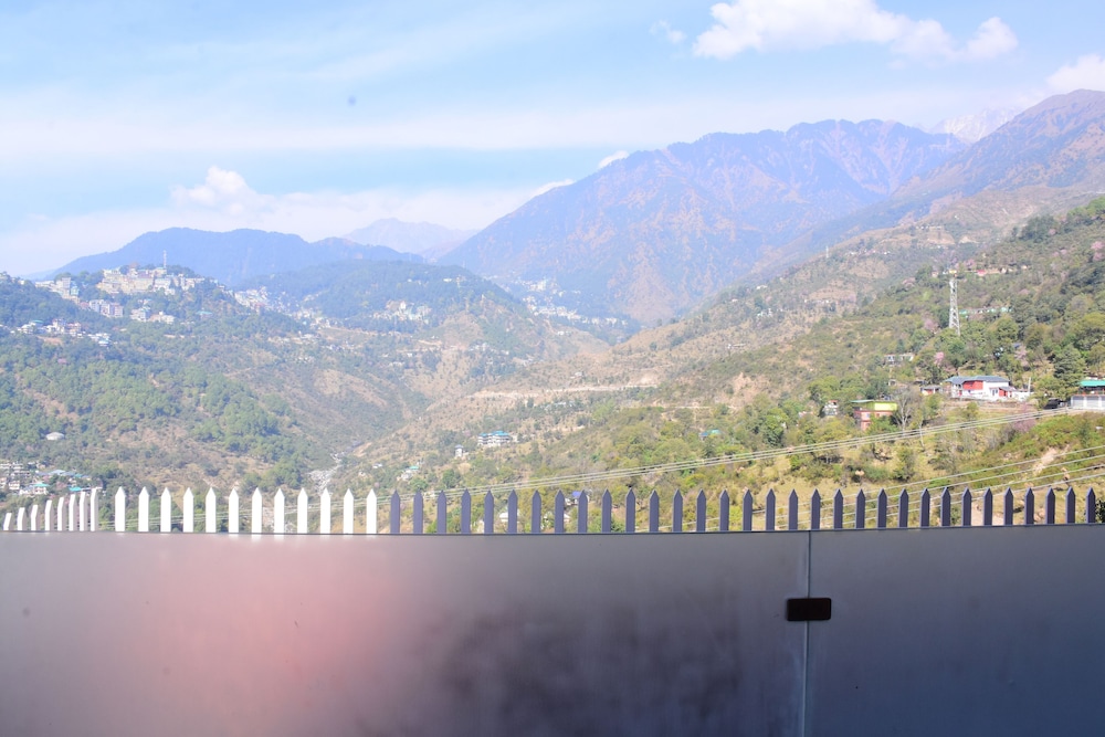 juSTa Birding Dharamshala