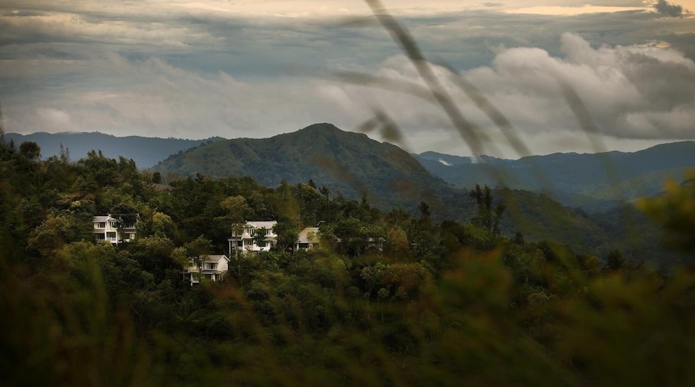 Hills and Hues
