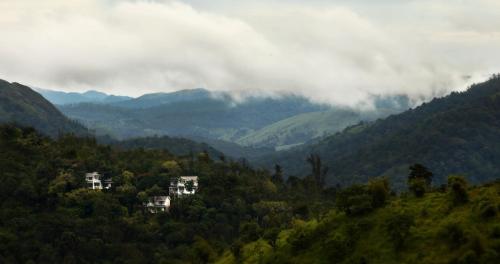 Hills and Hues