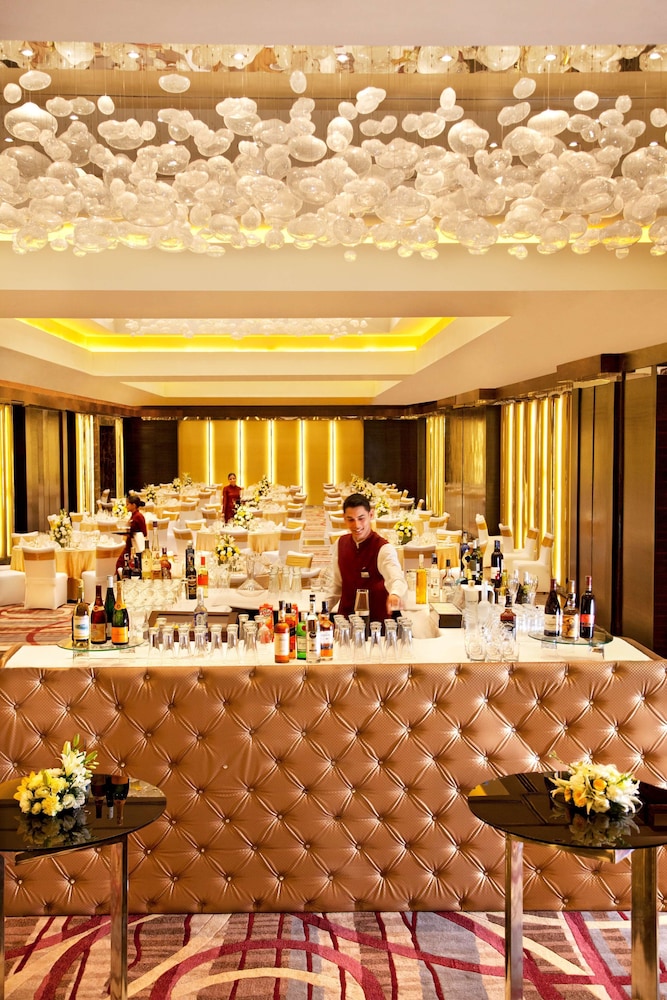 Radisson Blu Plaza Delhi Airport