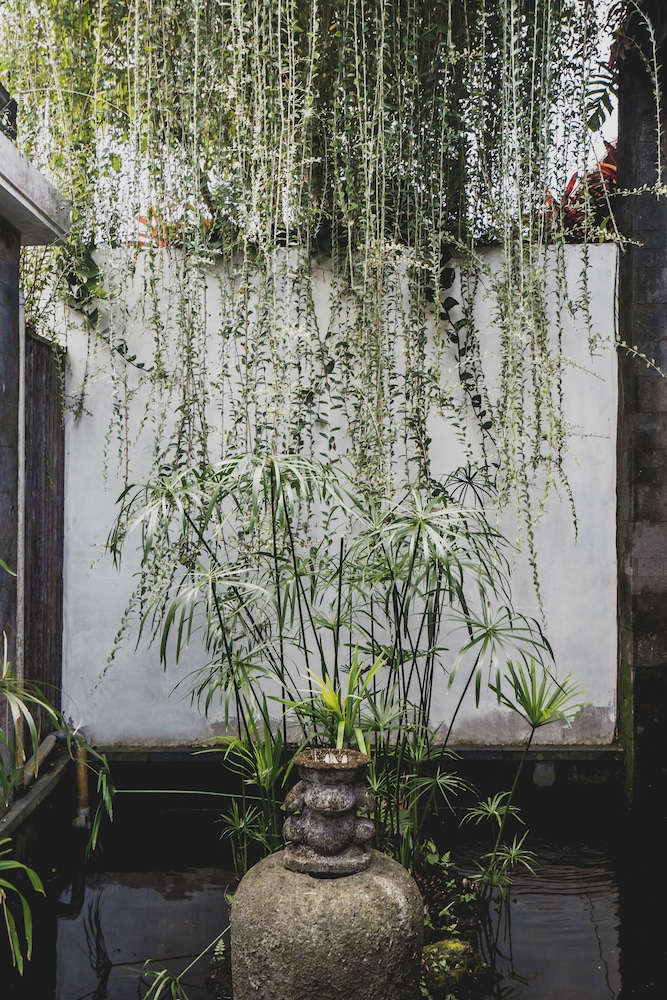 Luwak Ubud Villas