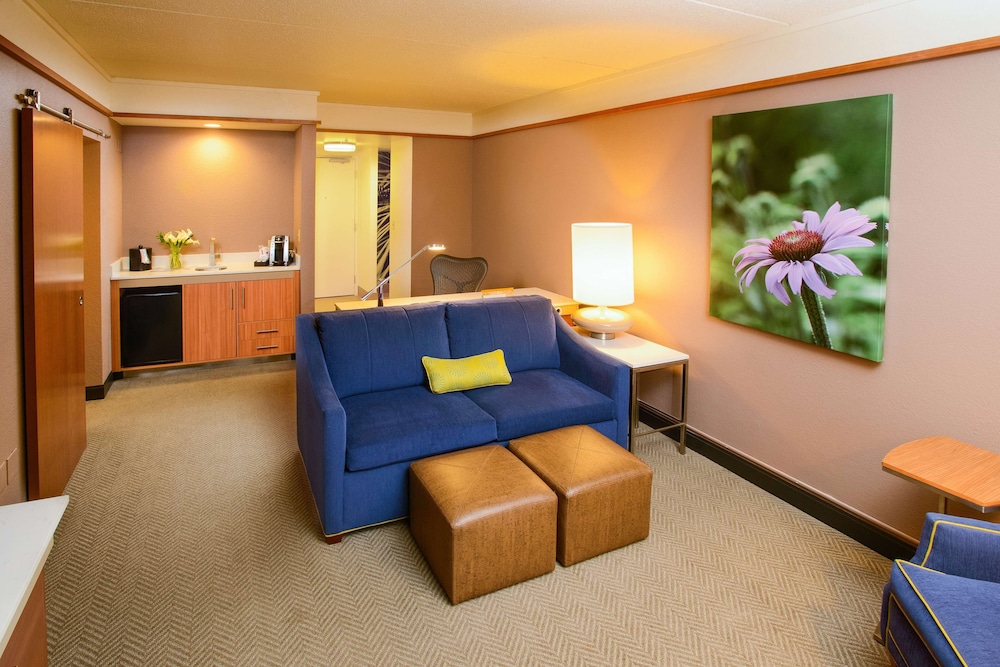 Hilton Garden Inn Rochester Downtown, MN