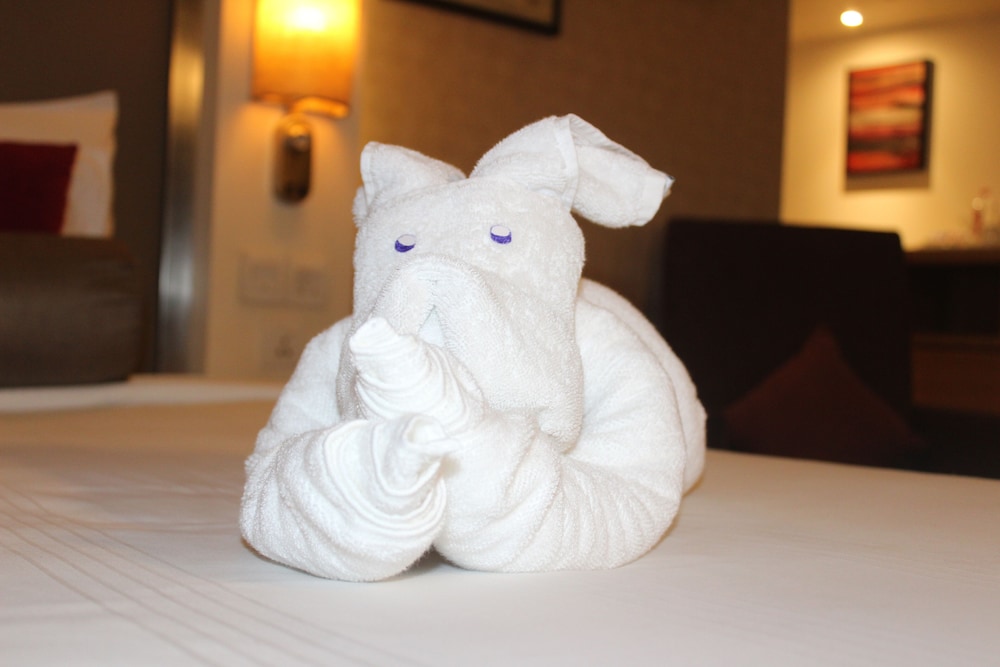 Pride Plaza Hotel Ahmedabad