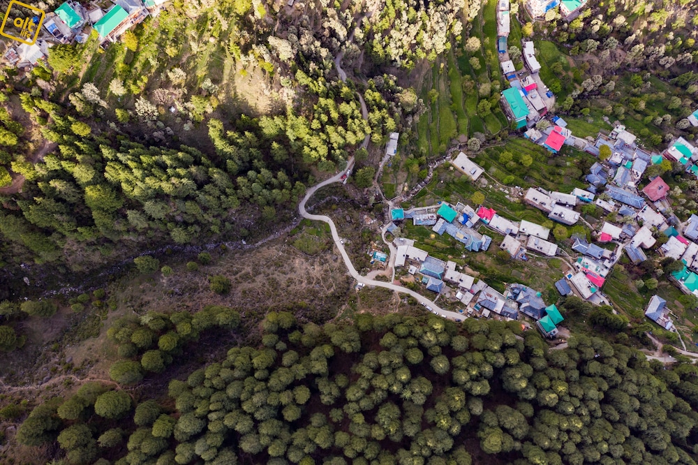 Alt Life - Dharamkot - Hostel