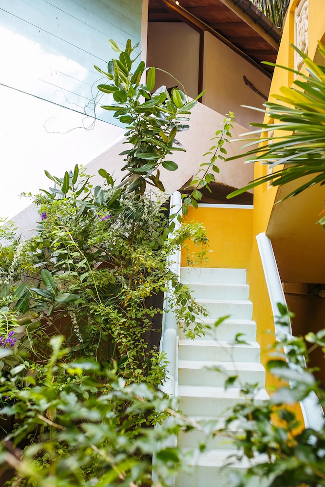 Flora and Fauna Mirissa Guest House