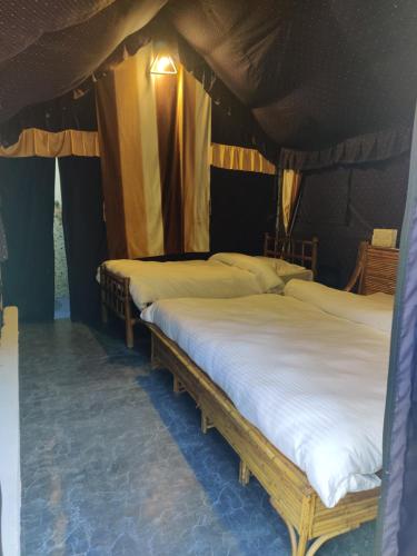 H7Stay Luxury Cottages and Camps, Rishikesh