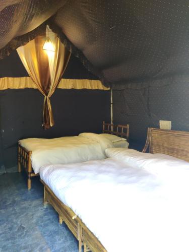 H7Stay Luxury Cottages and Camps, Rishikesh