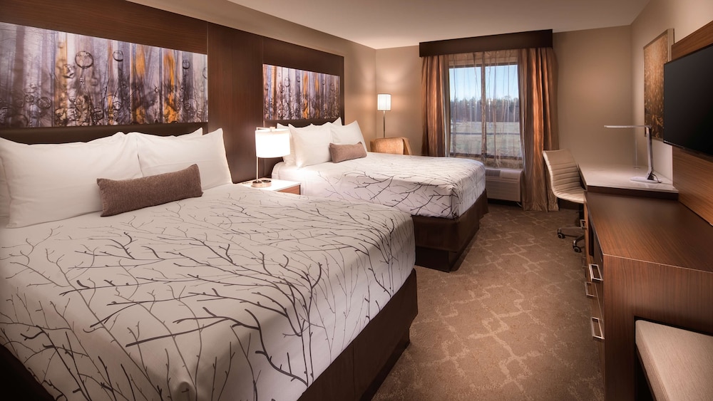Aiden by Best Western Warm Springs Hotel and Event Center