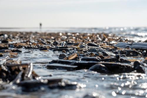 Steeds Aan Zee