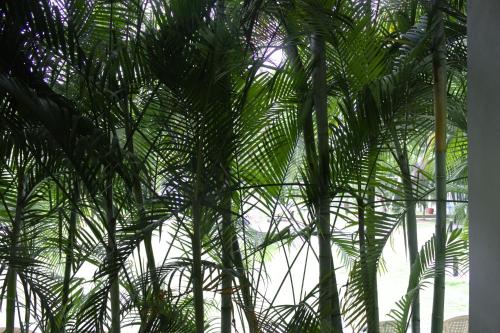 Mrugavani Resort & Spa