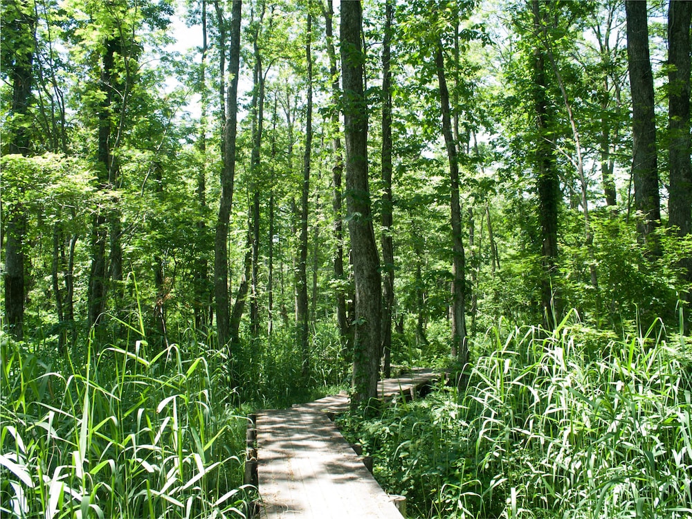 Mercure Urabandai Resort & Spa