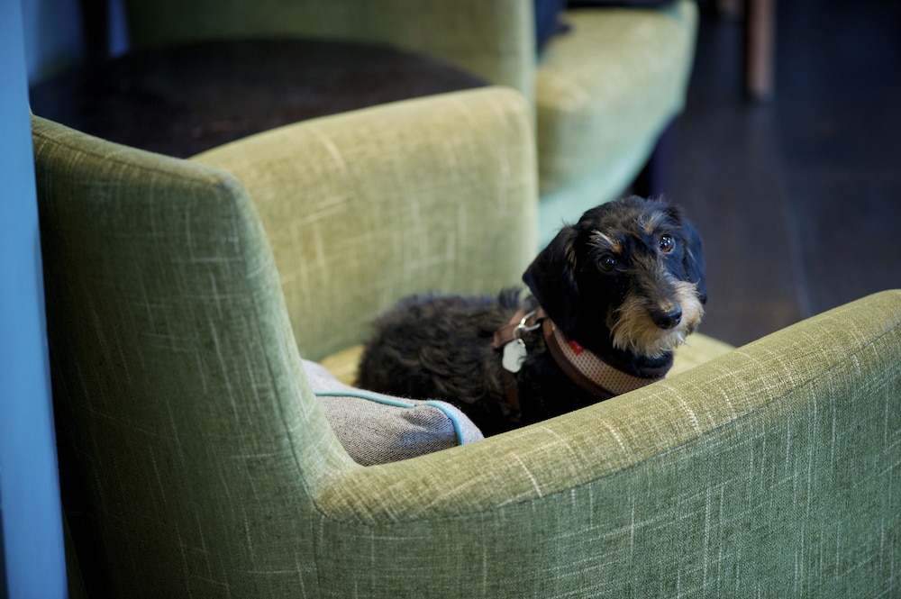 The Lodge Hotel - Putney