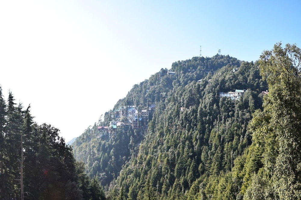 HOTEL PRESIDENT -PURE VEGETARIAN DALHOUSIE (Centrally Heated & Air Conditioned)