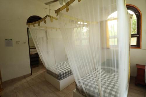 Serenity Eco Guesthouse and Yoga