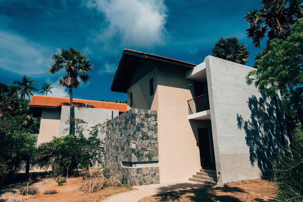 The Palmyrah House
