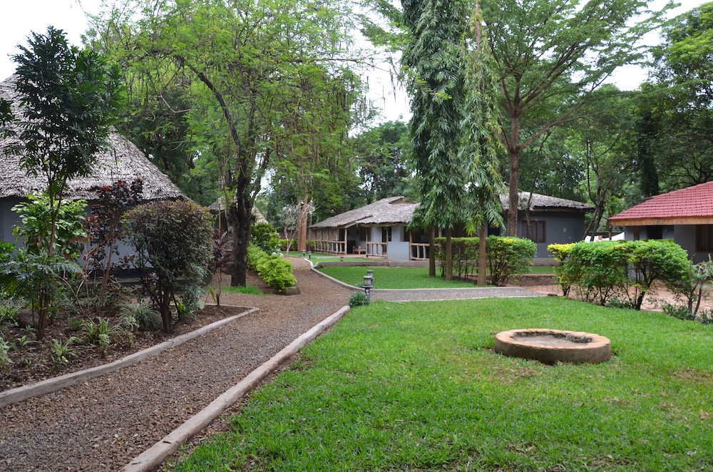 Honey Badger Lodge