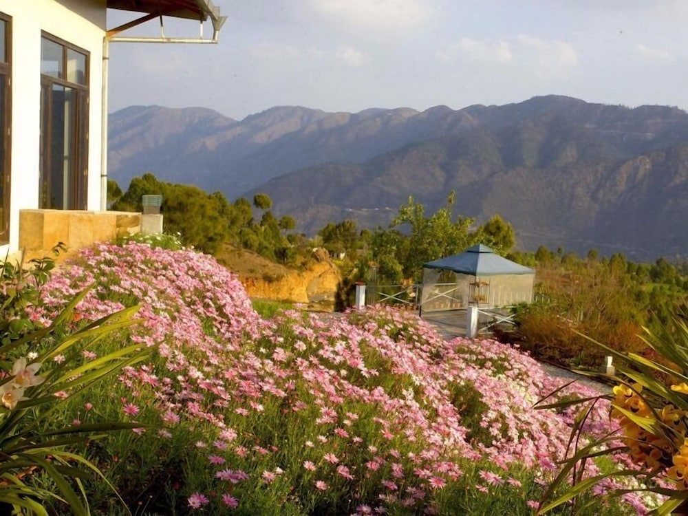 Tree of Life Junoon in the Hills, Kumaon
