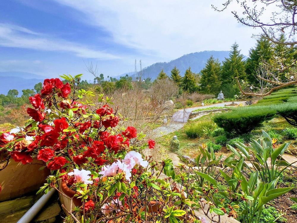 Tree of Life Junoon in the Hills, Kumaon