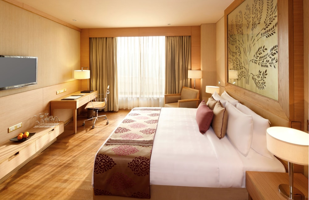 Radisson Blu Hotel New Delhi Dwarka