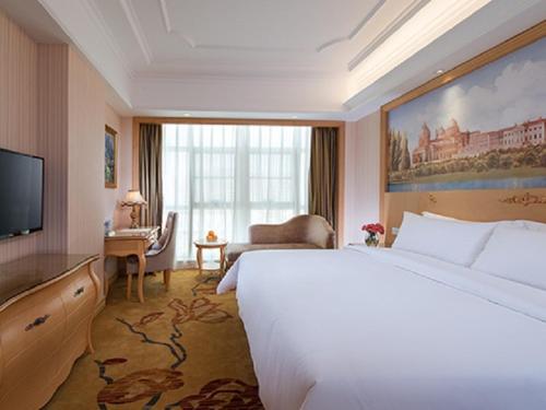 Vienna International Hotel Shenzhen Longhua Centre