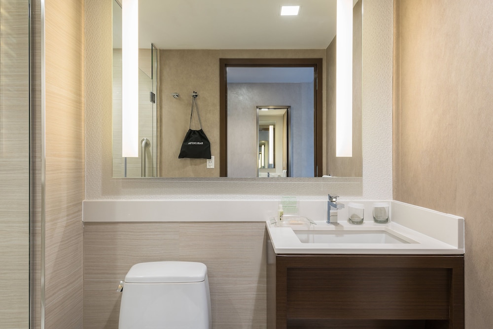Holiday Inn Brooklyn Downtown by IHG