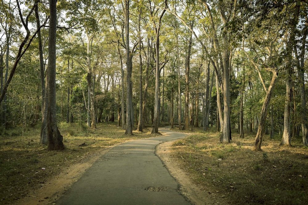 Sterling Wayanad